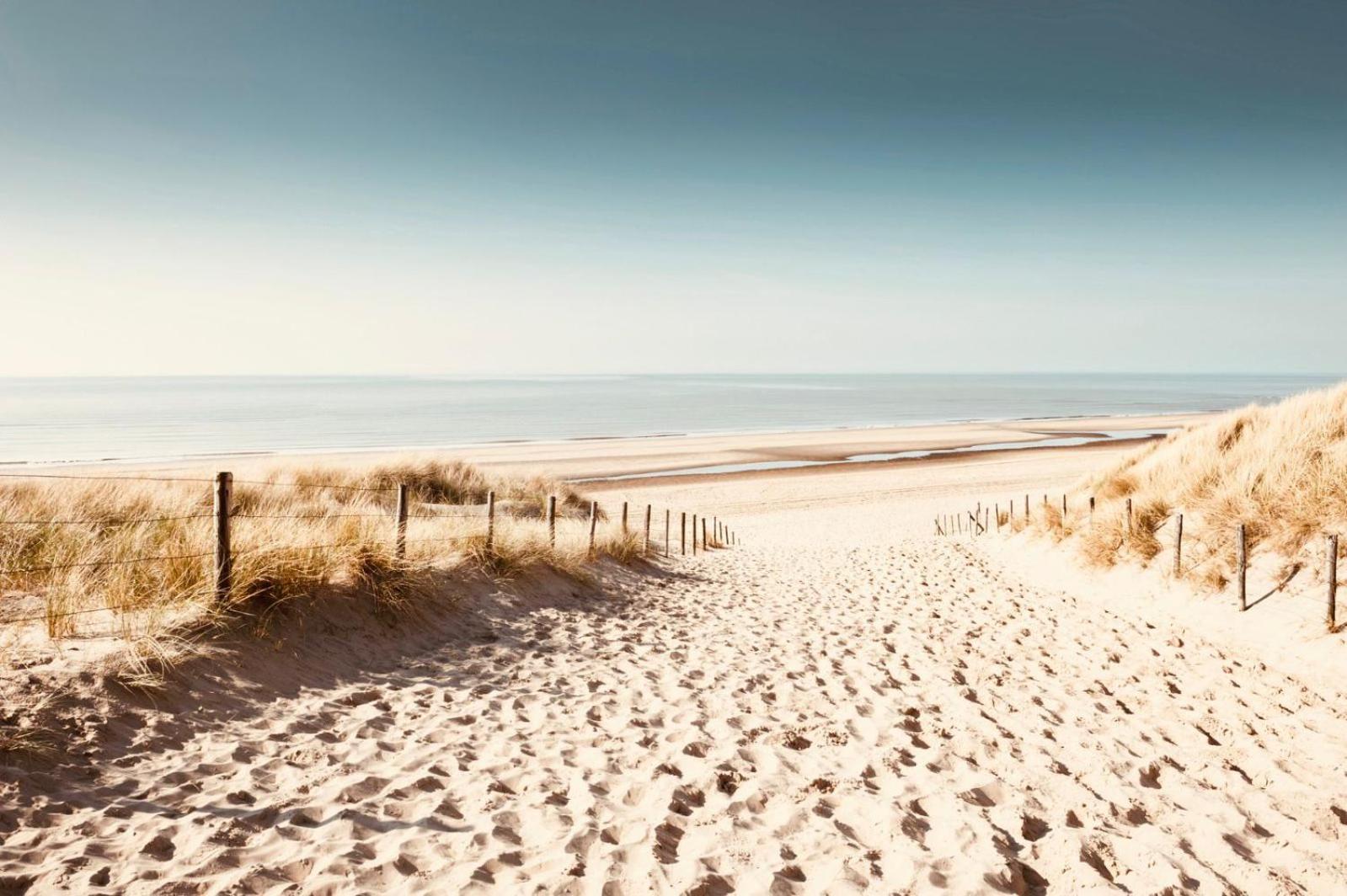 Noordster Beachhouse Noordwijk Ngoại thất bức ảnh